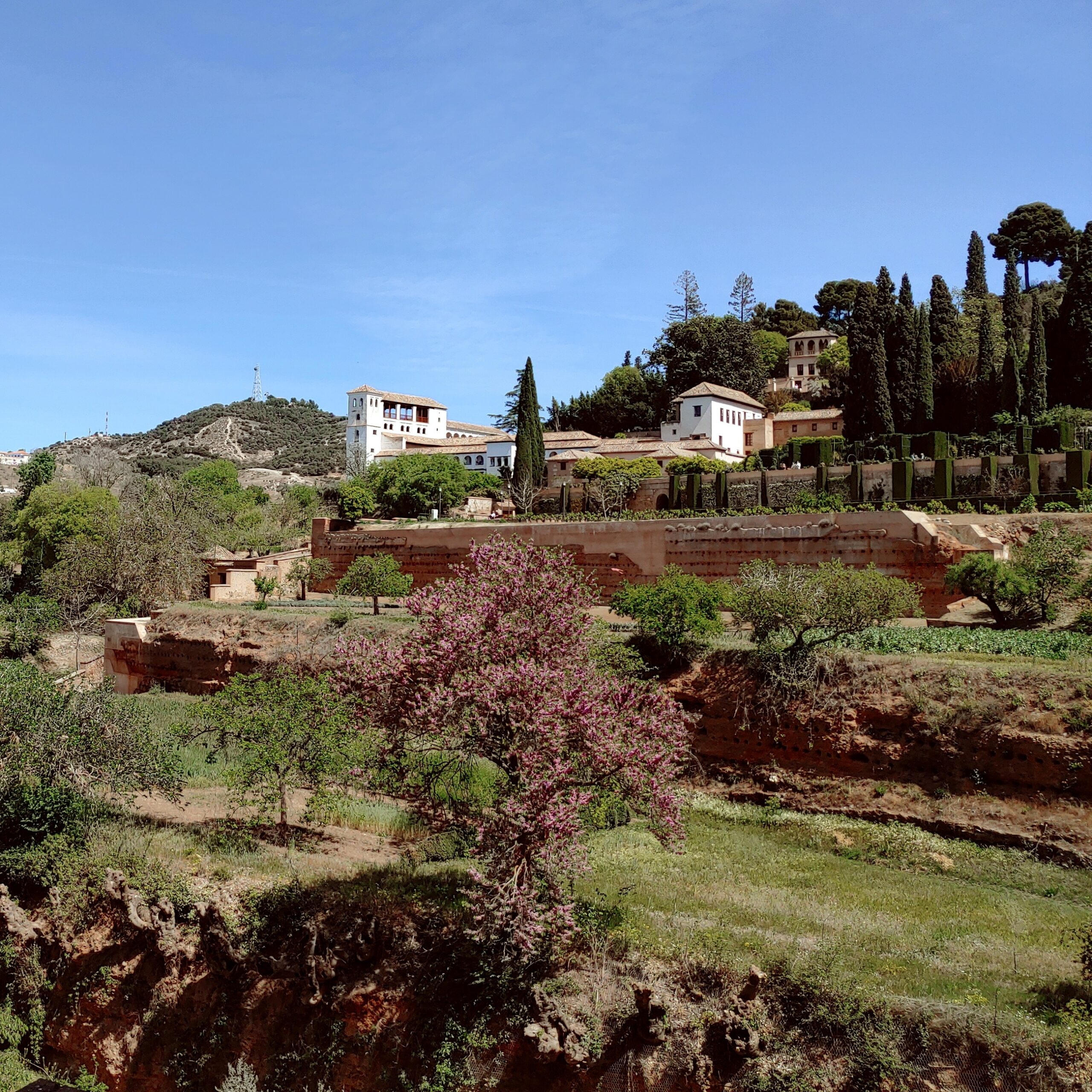 The Generalife as an example of a munya like Ruzafa.