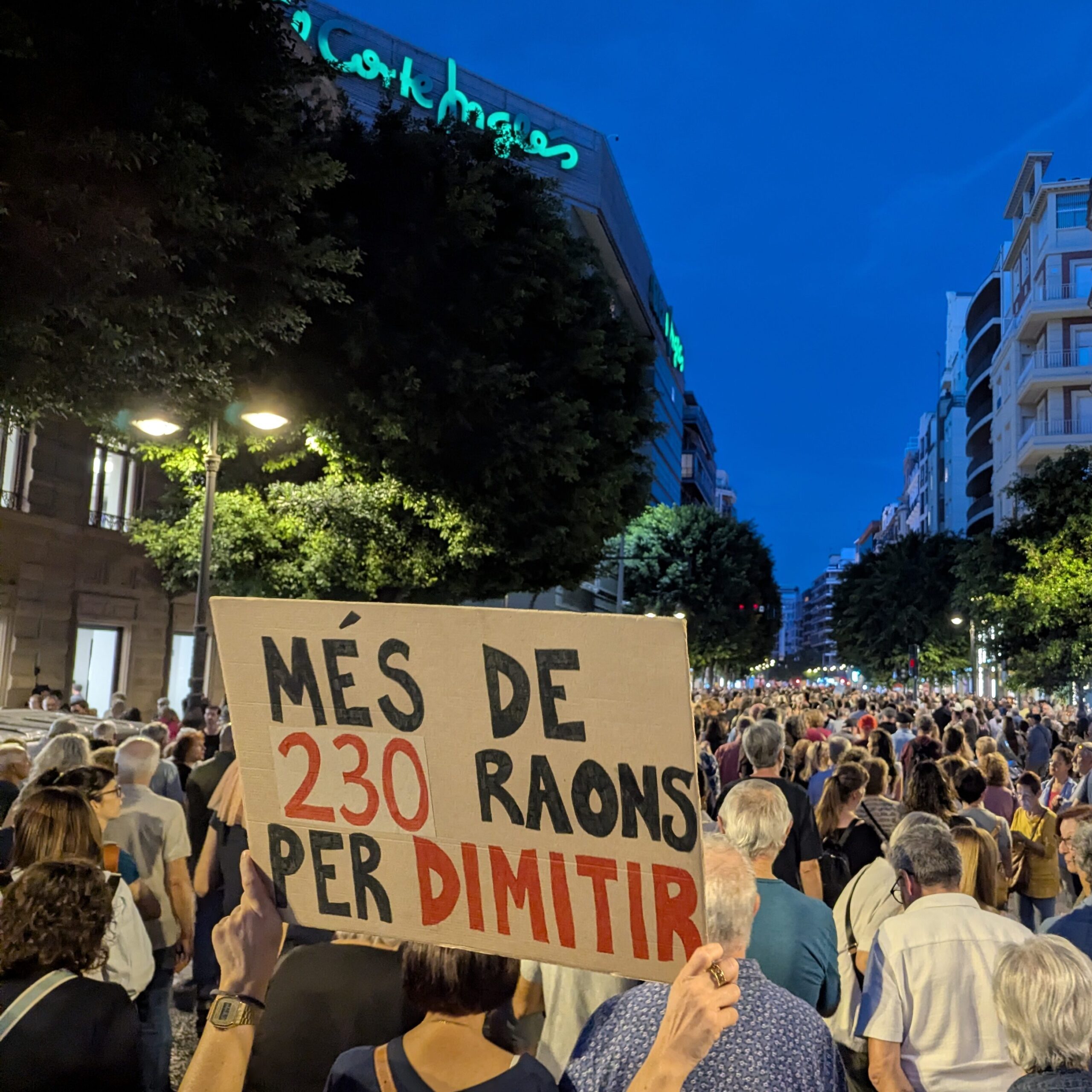 A protest in Valencia, with a sign saying "Més de 230 raons per dimitir," Valencian for "More than 230 reasons to resign."